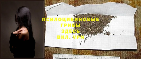 прущие грибы Осинники