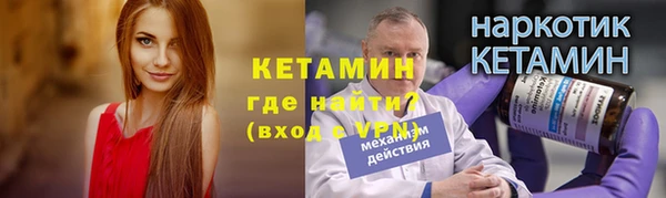крисы Пересвет