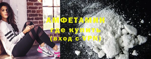 прущие грибы Осинники